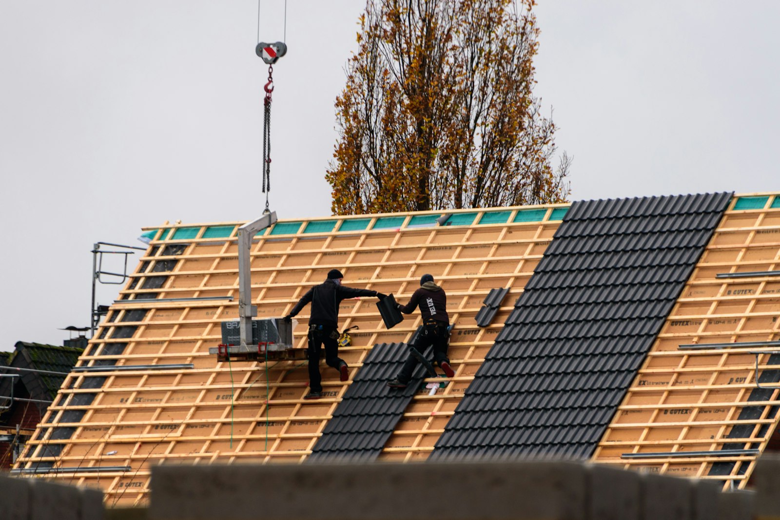 UK roofer on a pitched roof laying new grey concrete tiles with hammer and battens under blue sky, safety harness on
